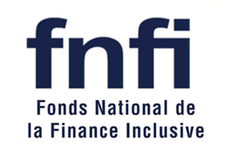 logo fnfi